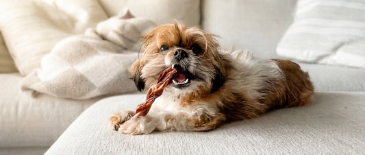 God chewing natural dog chews for dental health