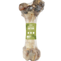 Dino Bone