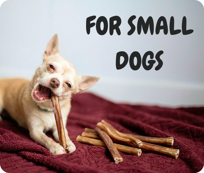 FOR LIGHT CHEWERS