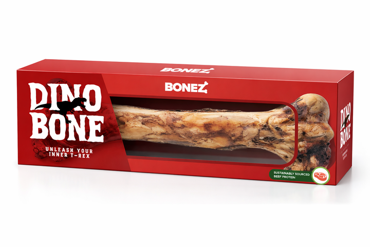 Dino Bone