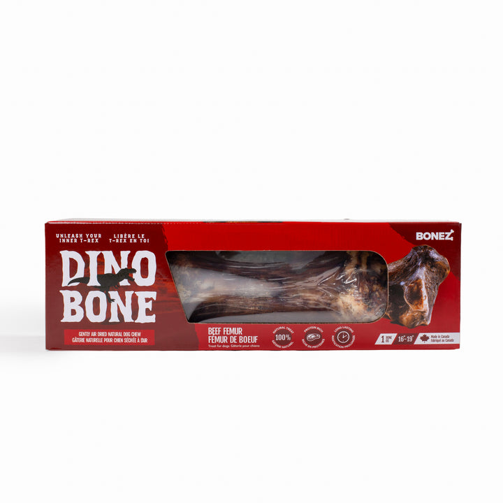 Dino Bone