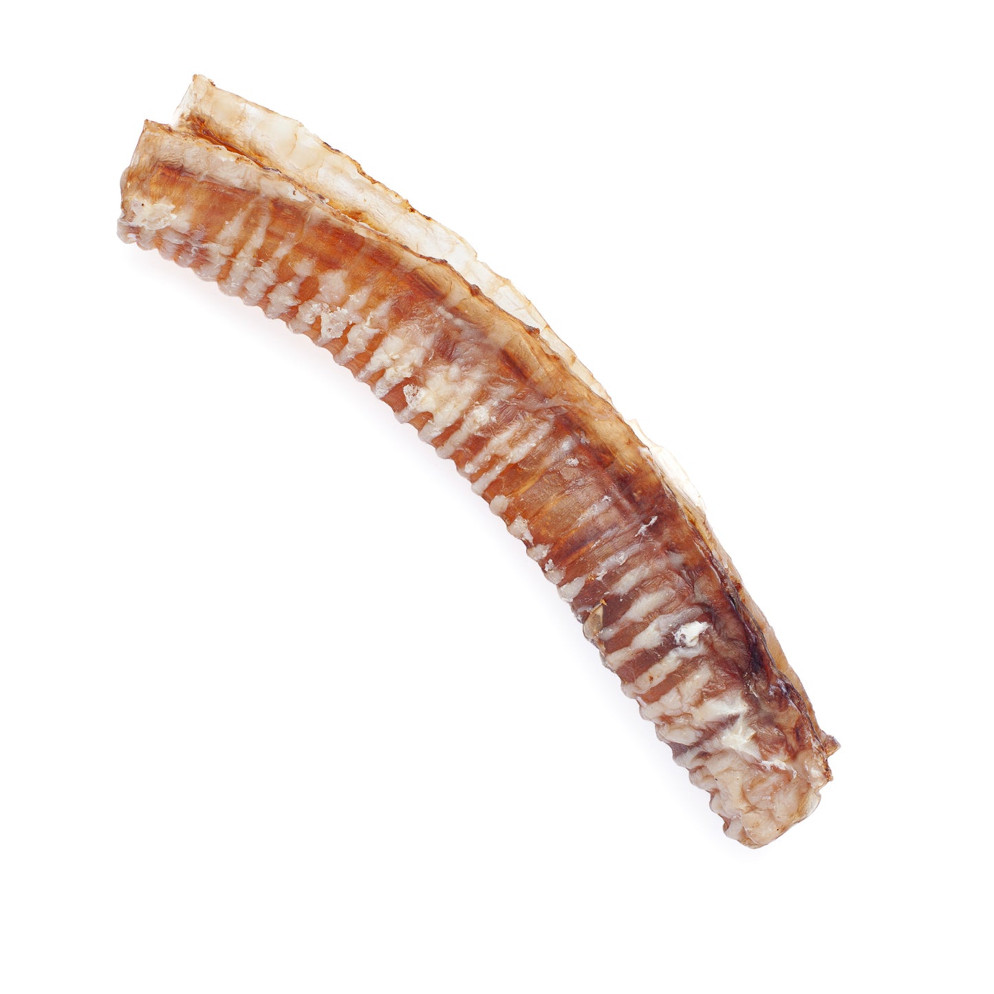 Butcher 10 Pack