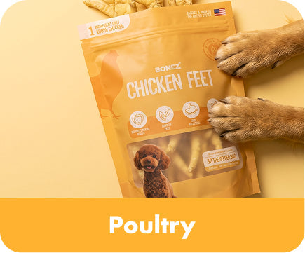 Poultry